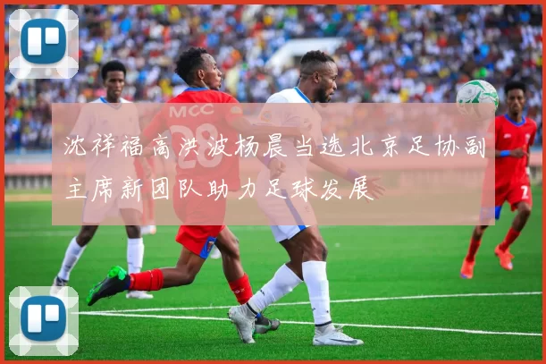 沈祥福高洪波杨晨当选北京足协副主席新团队助力足球发展