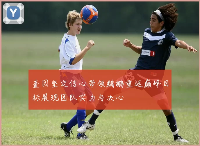 奎因坚定信心带领鹈鹕重返巅峰目标展现团队实力与决心