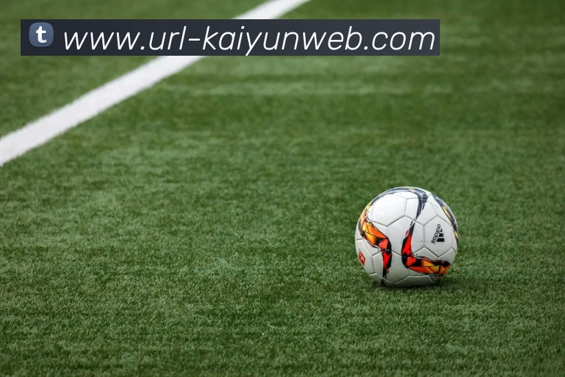 开云体育平台生态图